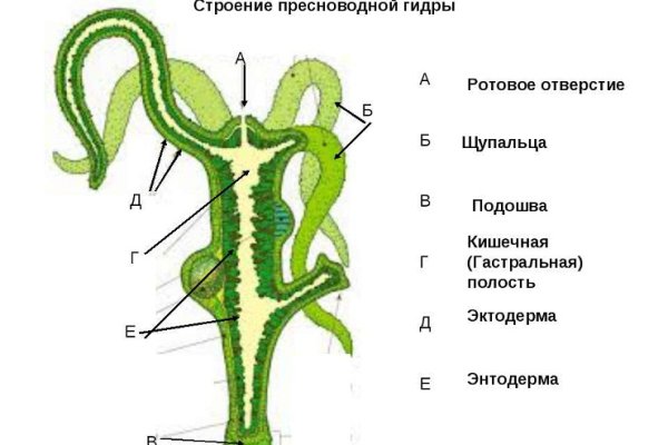 Кракен даркнет онион